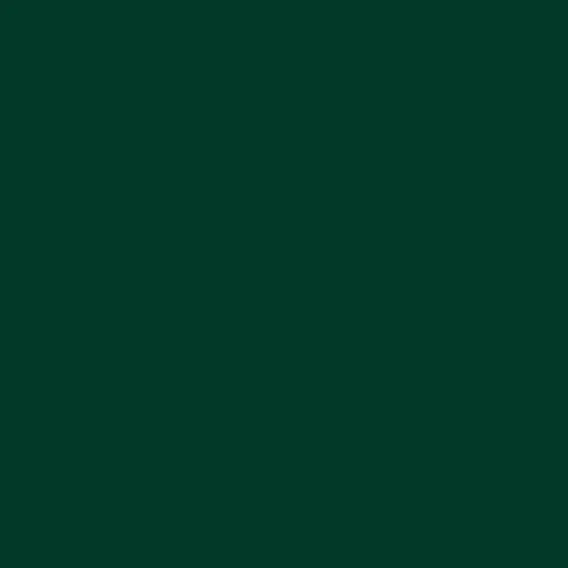 ORACAL Gloss Fir Tree Green vinyl wrap film texture — Specced